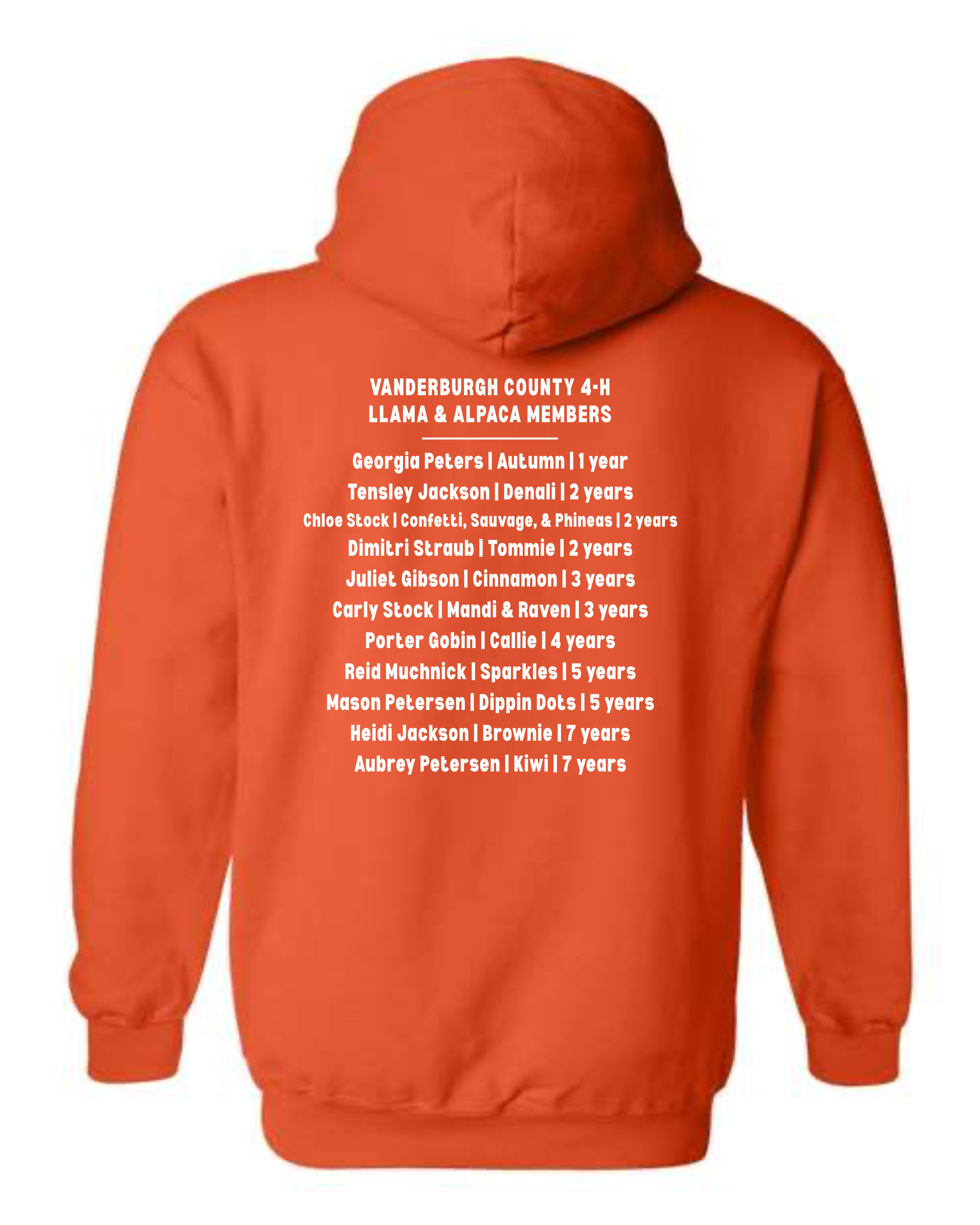 2025 Llama Hoodie